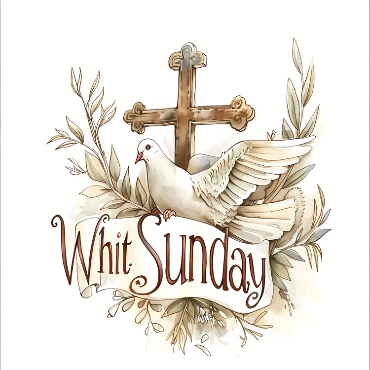 Whit Sunday,10,For   White Dove