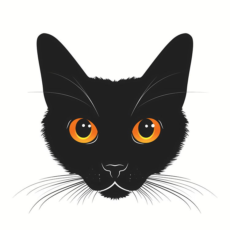 Cat,Black Cat With Orange Eyes,Cat Face