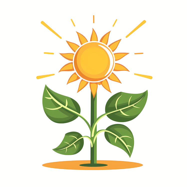 Renewal Day,Plant,Sun