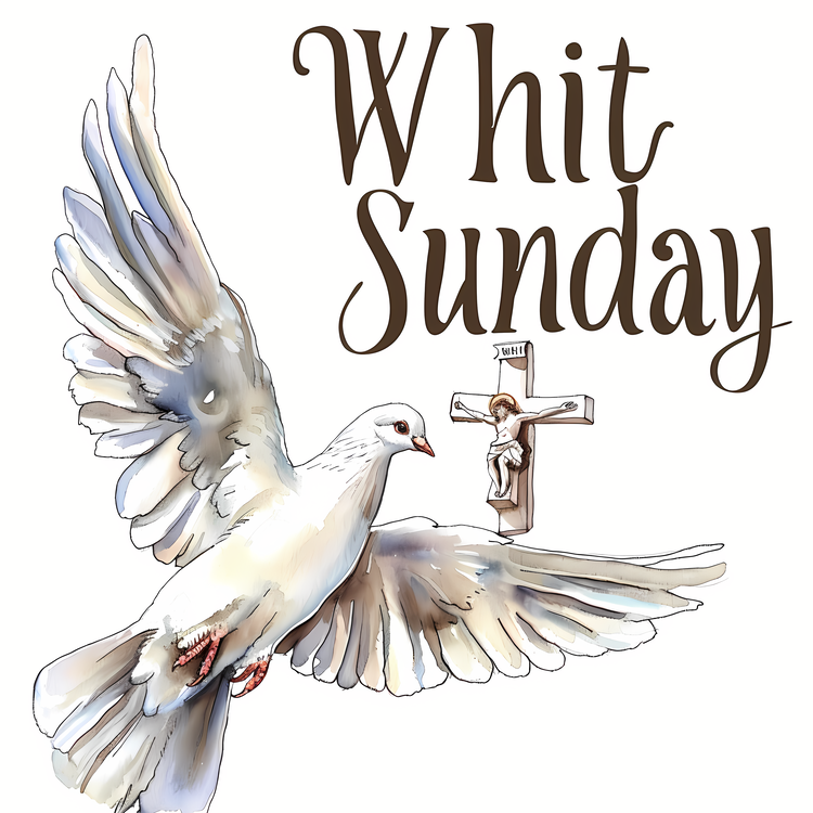 Whit Sunday,10,For   Are White Dove
