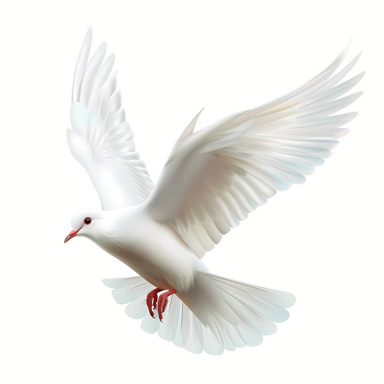 Emoji,White Dove,Flying