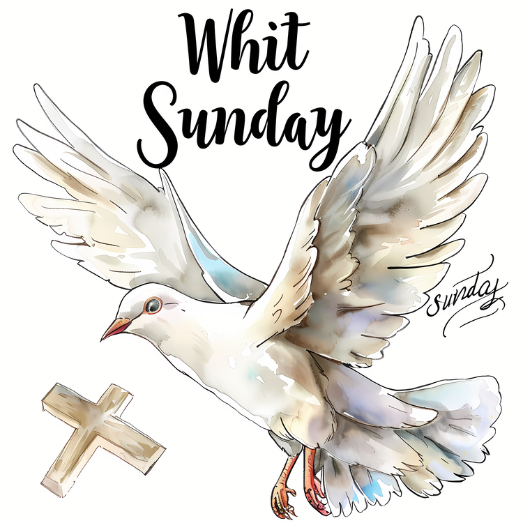 Whit Sunday,Dove,Bird Flying