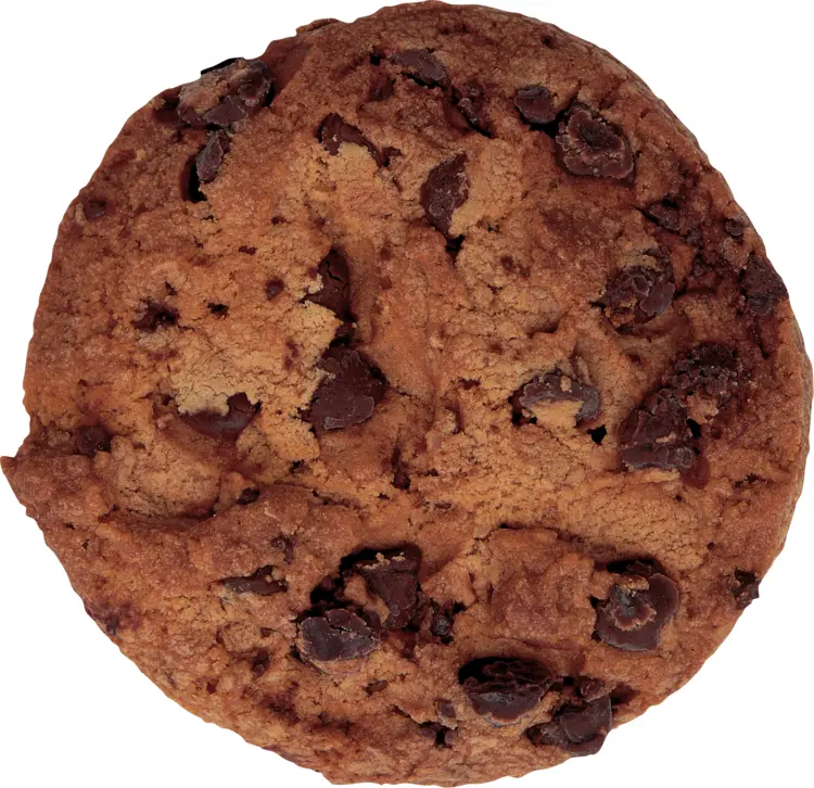 Single Chocolate Chip Cookie with Dark Chocolate
