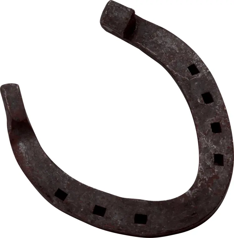 Rusty Antique Horseshoe