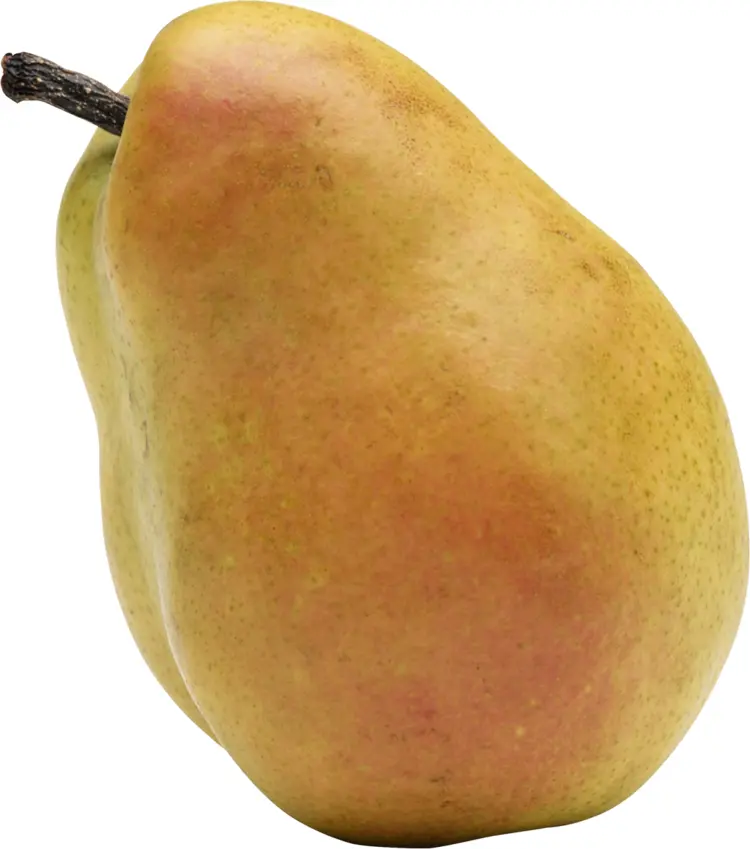 Golden Pear