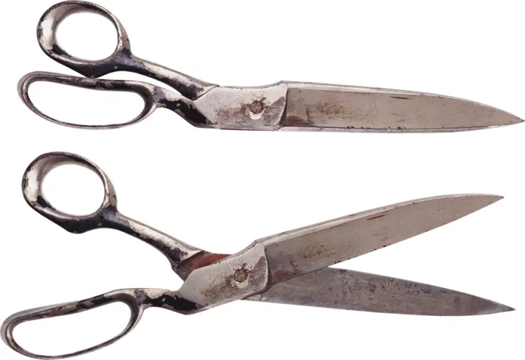 Vintage Metal Scissors for Cutting