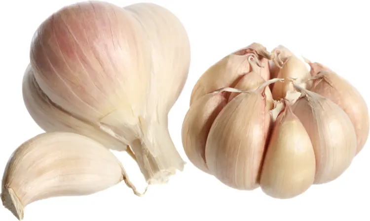 Garlic Bulb with Cloves