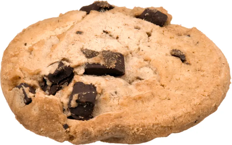 Chocolate Chip Cookie