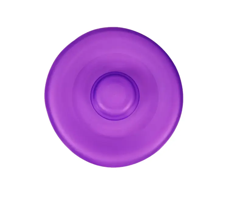 Purple Frisbee for Outdoor Fun
