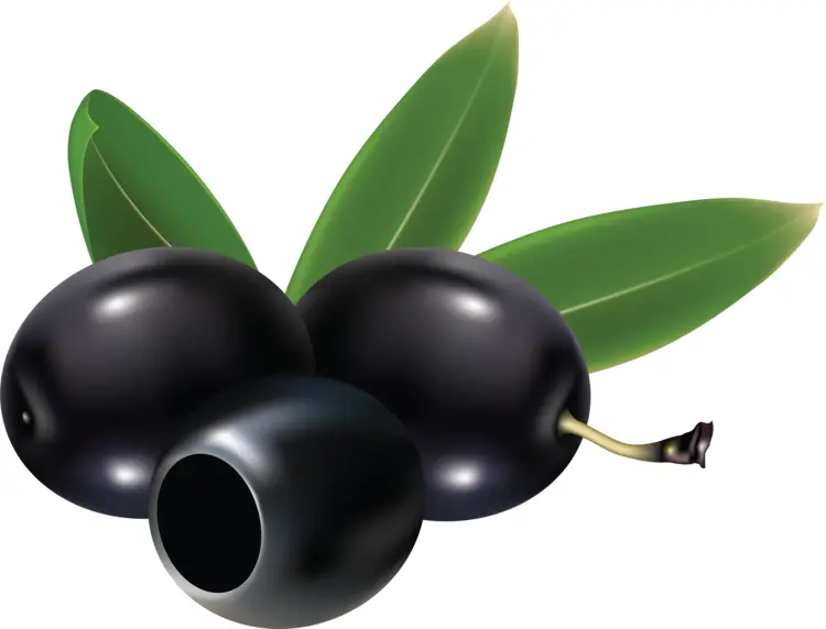 Black Olives with Green Leaves