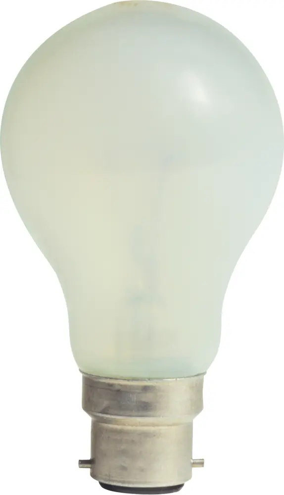 Frosted Light Bulb