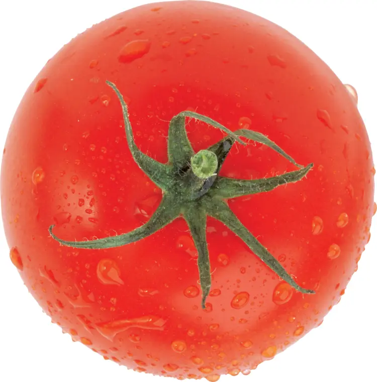 Whole Fresh Red Tomato