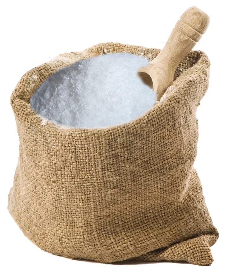 Bag of Salt with Scoop