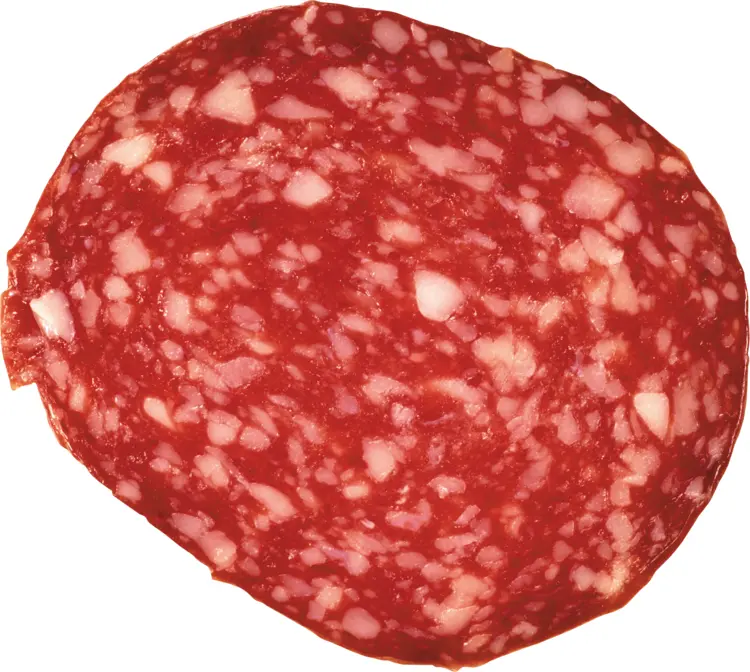 Salami Slice with Marbling