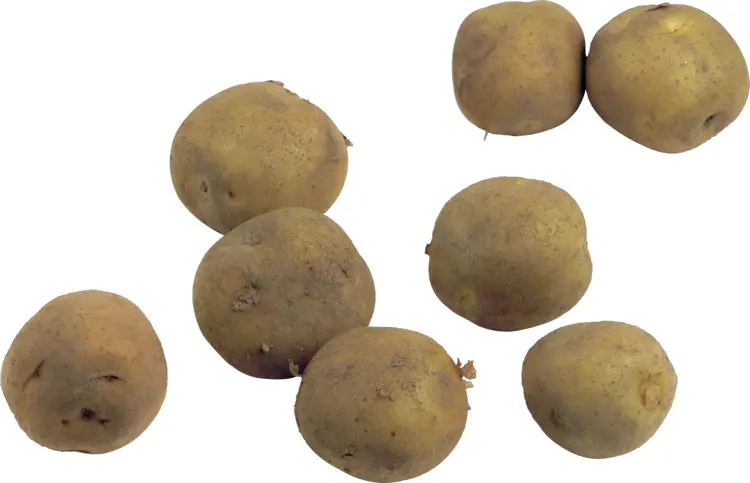 Group of Small Potatoes