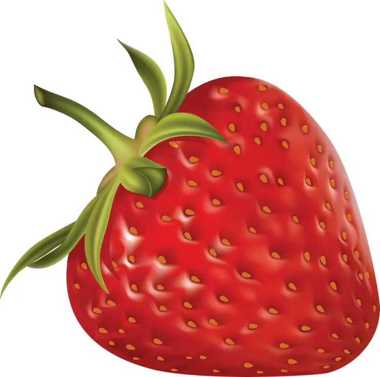 Single Red Strawberry