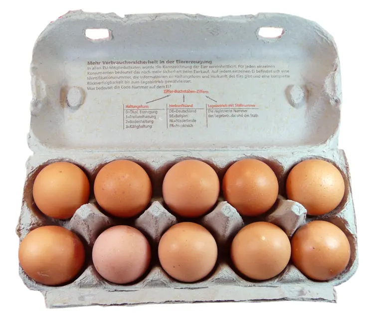 Fresh Eggs in Carton