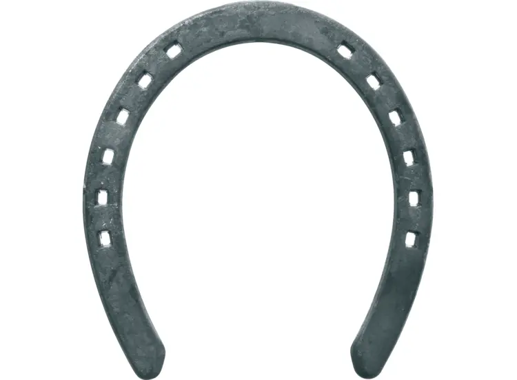 Metal Horseshoe