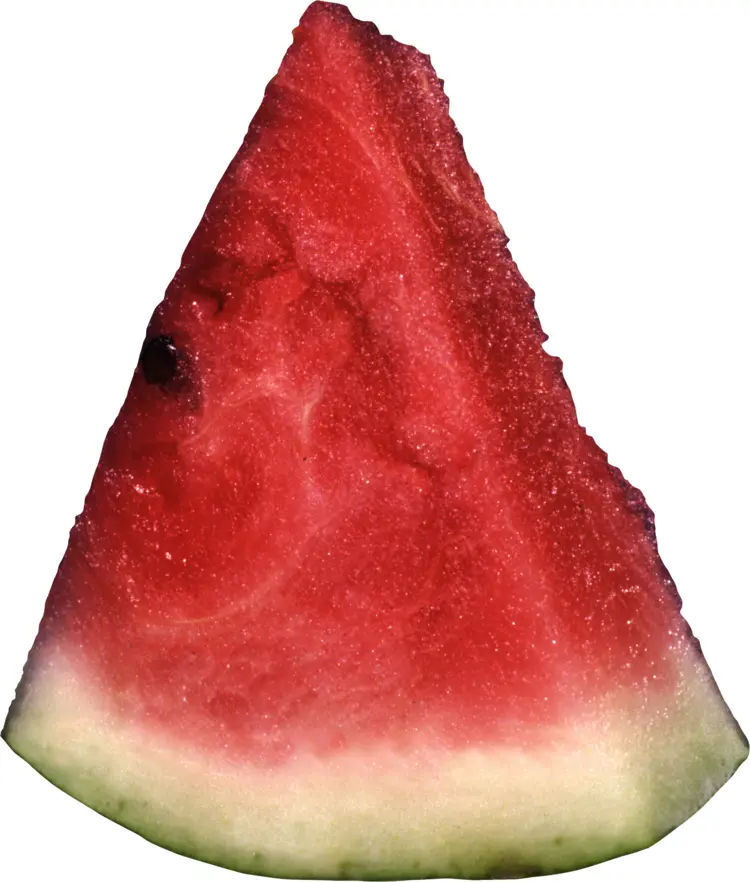 Red Triangle Watermelon Slice