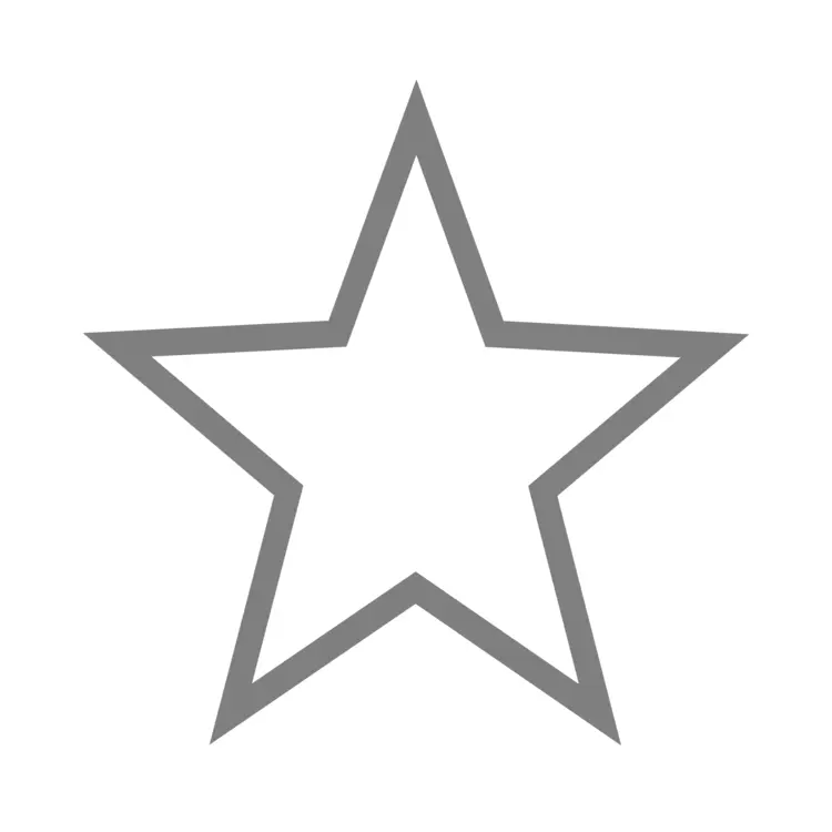 White Star with Grey Outline Icon