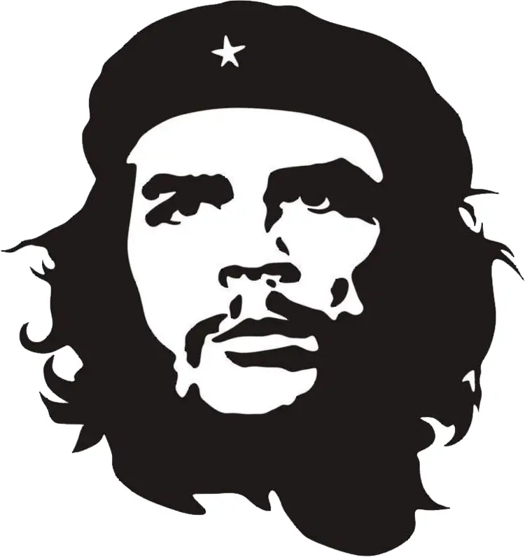 Iconic Black and White Portrait Illustration