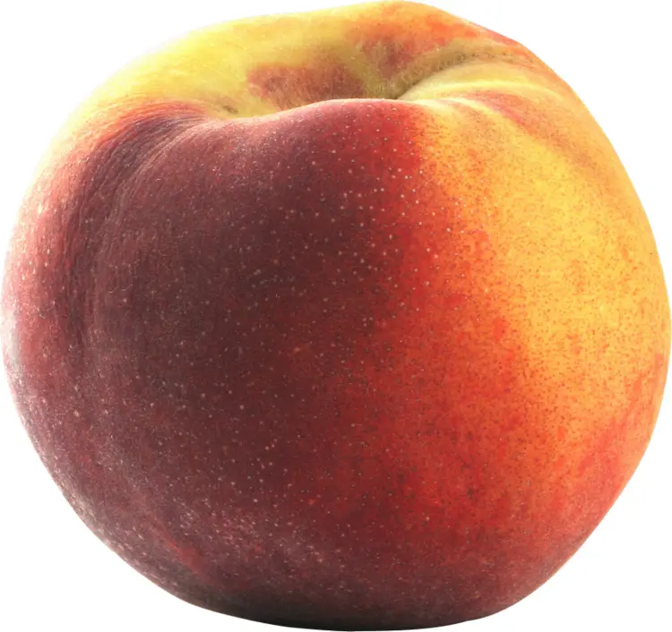 Juicy Sweet Peach
