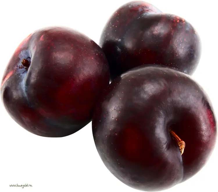 Juicy Dark Plums