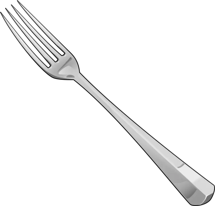 Silver Fork for Dining