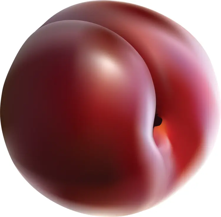 Juicy Red Plum for a Healthy Snack