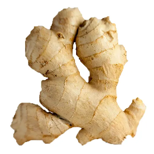 Organic Ginger Root for Culinary Use