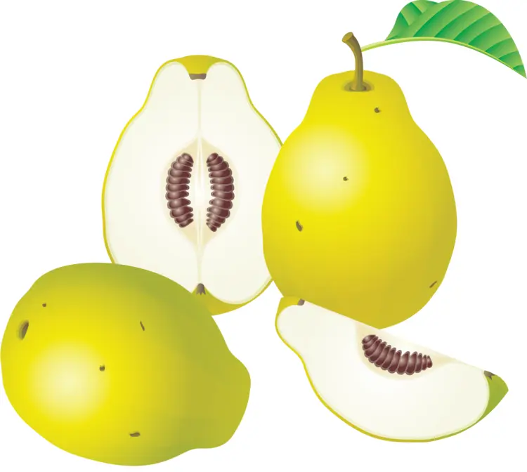 Fresh Green Guavas with Seeds