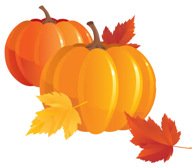 Orange Pumpkins with Autumn Leaves