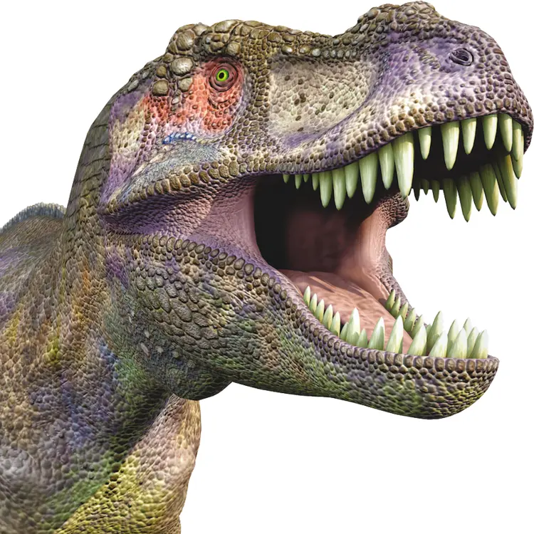 Close-up of Dinosaur Head