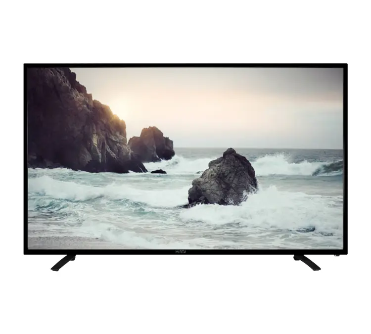 Flat Screen TV with Beach Scene