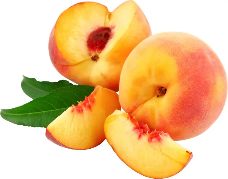 Sliced Peach with Leaves Fruit