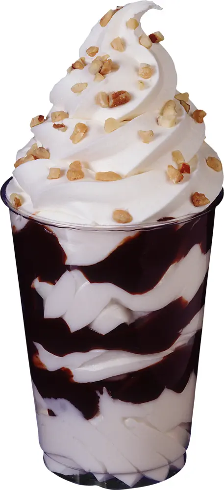 Chocolate Ice Cream Sundae with Nuts