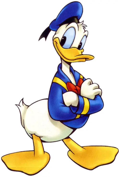 Donald Duck with Arms Crossed