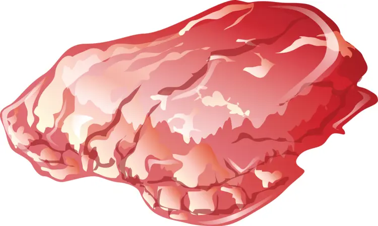 Fresh Raw Meat Illustration
