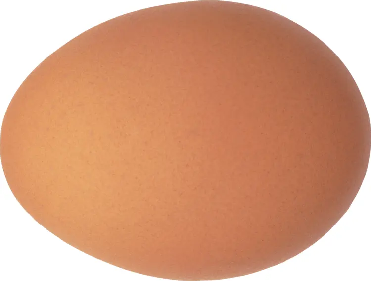 Single Brown Egg