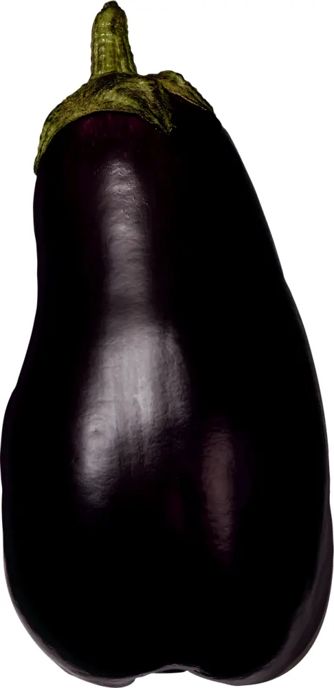 Large Purple Eggplant