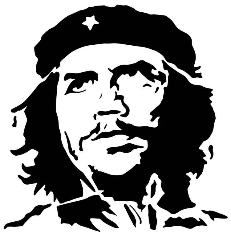 Iconic Black and White Portrait Illustration