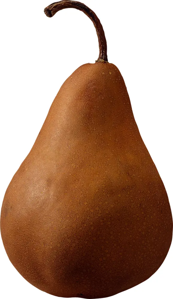 Brown Pear on Transparent Background