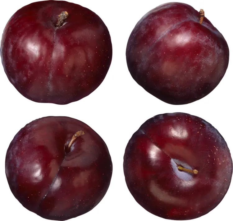 Juicy Dark Plums