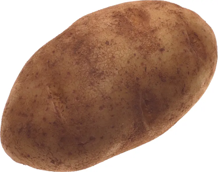 Single Brown Potato
