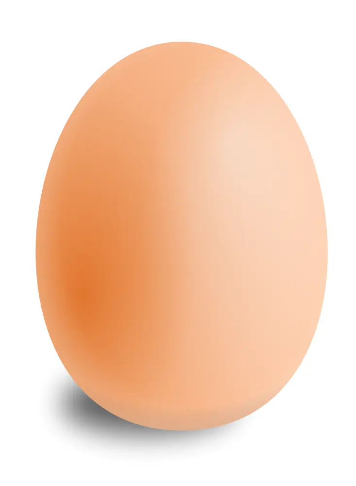 Brown Egg