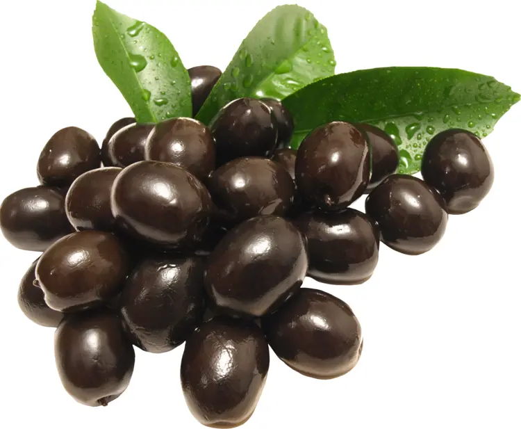 Cluster of Fresh Black Olives