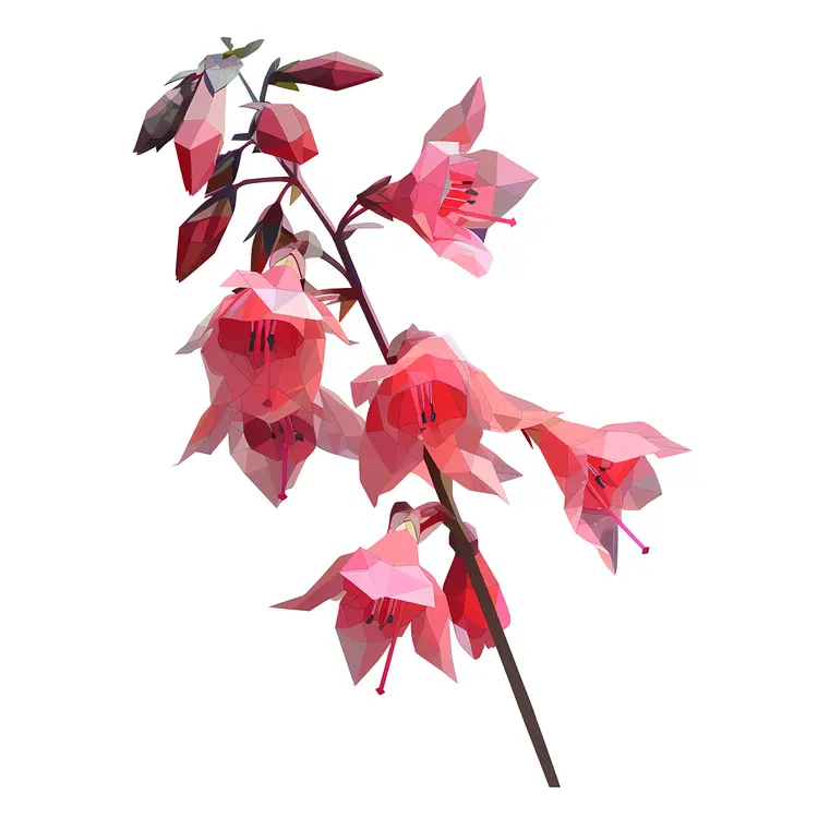 Pink Blossoming Flowers on Branch