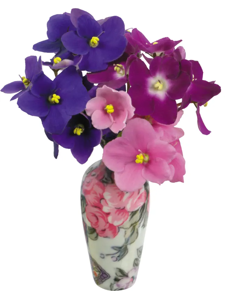 Beautiful Flower Bouquet in Decorative Vase