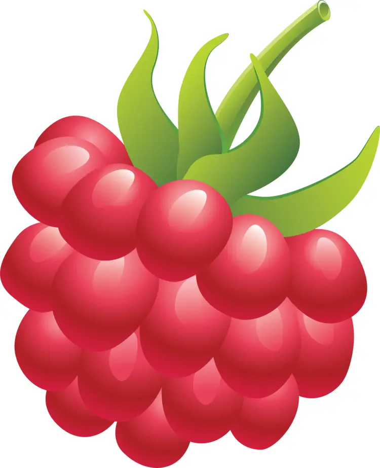 Juicy Red Raspberry with Green Leaves