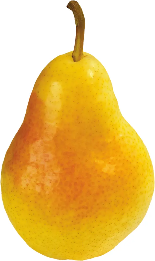 Yellow Pear with Red Blush